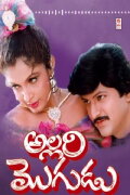Allari Mogudu