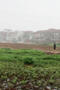 Landscape Series #1
