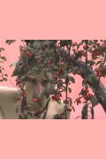 The Faery Garden