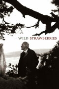 Wild Strawberries