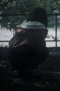 In the Shadow of a Tree