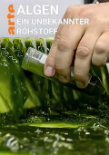 Algen: Ein unbekannter Rohstoff