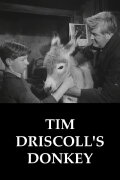 Tim Driscoll's Donkey