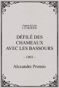Défilé des chameaux avec les Bassours