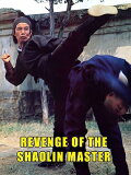 Revenge of a Shaolin Master