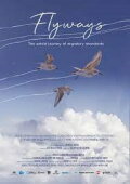 Flyways