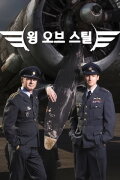 Wings of Steel
