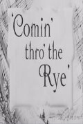 Comin' Thro the Rye