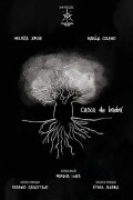 Casca de Baobá