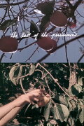 The Last of the Persimmons