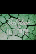 The Colour of Life