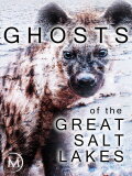 The Ghosts of the Great Salt Lake
