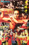 Fury in Shaolin Temple