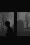 Imposed Landscape