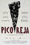 Pico Reja: The Truth Buried Beneath