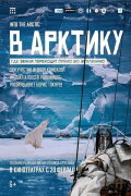 To the Arctic