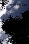 Glimpses of Beauty