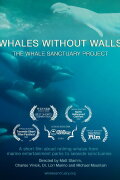 Whales Without Walls