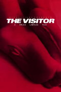 The Visitor