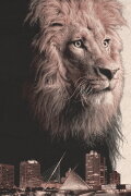 Urban Predator: Lion on the Loose