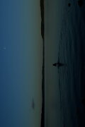 THE WATERS