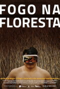 Fire in the Forest