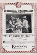 What Came to Bar Q