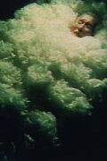 The Sleeping Flower