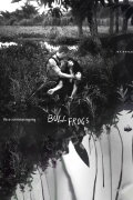 Bullfrogs