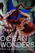 Ocean Wonders - Inside the Monterey Bay Aquarium
