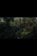 Message of the Forest. Towards 'O Horizon'
