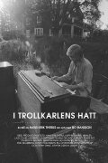 I Trollkarlens hatt