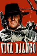 Viva! Django