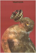 The Bird Watcher