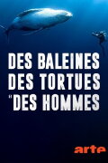 Des baleines, des tortues et des hommes