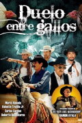 Duelo entre gallos