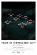 Where the Wild Frangipanis Grow
