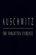 Auschwitz: The Forgotten Evidence
