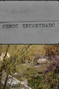 Pensaba que te habías olvidado de escribirme