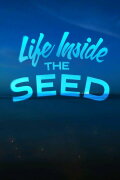 Life Inside the Seed