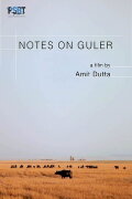 Notes on Guler