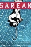 In the Net