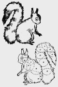 A Tale of the Squirrel-hostess and the Mouse-villain