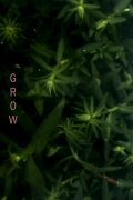 Grow