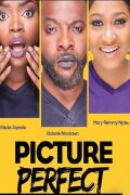 Picture Perfect