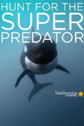 The Search for the Ocean's Super Predator