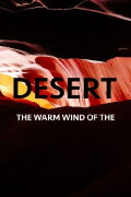 The Warm Wind Of The Desert