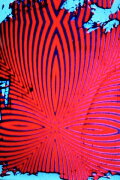 Dismal Universal Hiss