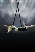 The Aerialist