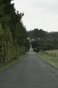 Camiños de Bardaos